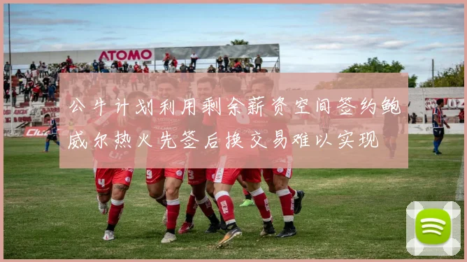 公牛计划利用剩余薪资空间签约鲍威尔热火先签后换交易难以实现